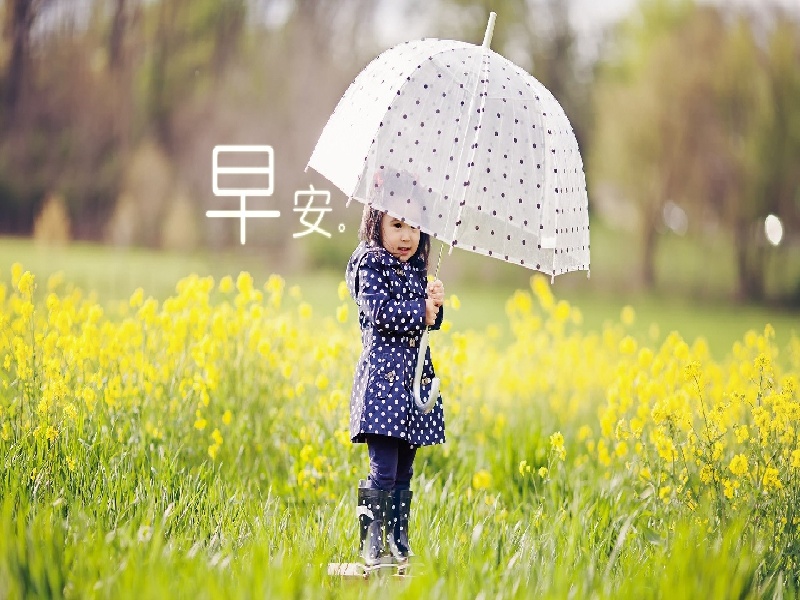 海口哪可以代怀,海口试管内膜0.75（试管nt33）